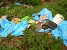 Fotorelacja_z_rajdu_portalu_2009_126