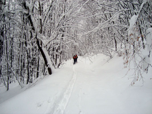 mt_gallery: Ski tury w Beskidach | Fot. Szypuła